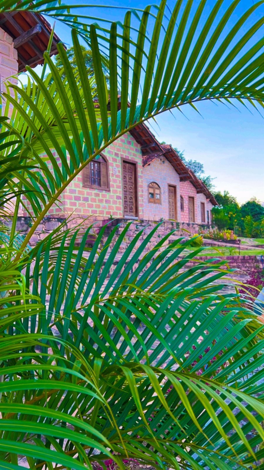 Fachada entre palmeiras